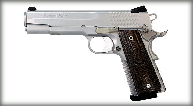 Guns & Ammo :-) - Page 2 1911-Stainless